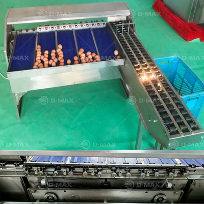 200W Μεγάλη ακρίβεια 5 βαθμού Κοτόπουλο Αβγό Μέγεθος Grader βάρος Grading Διαλογή επεξεργασία μηχανή